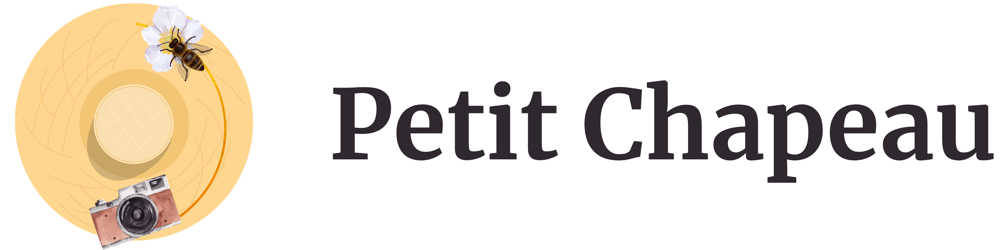 belle epoque train swiss travel pass Petit Chapeau: The #1 Honeymoon Blog