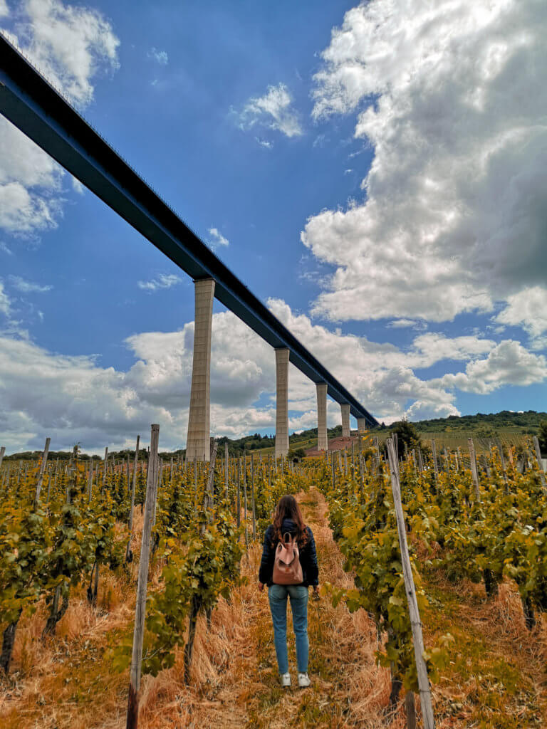 Unser Roadtrip an die Mosel im Juni: Gigantisch: Hochmoselbrücke