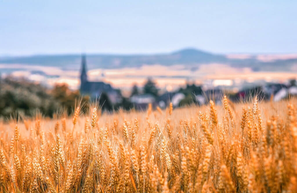 Urlaub in Deutschland: Pfalz