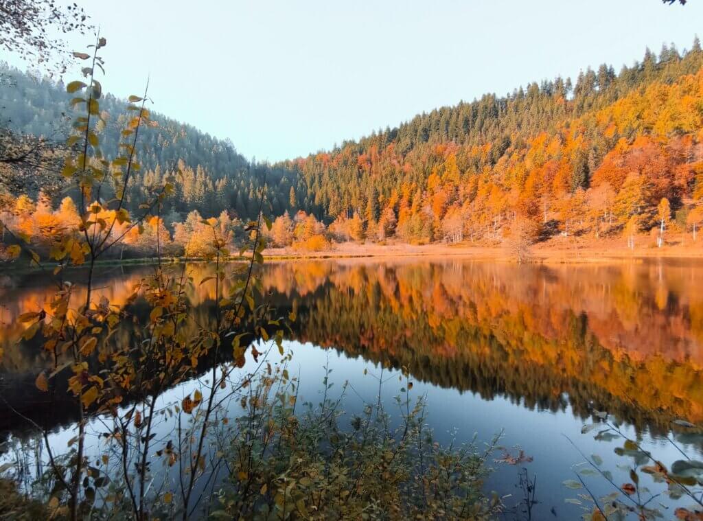 Sankenbachsee in Baiersbronn