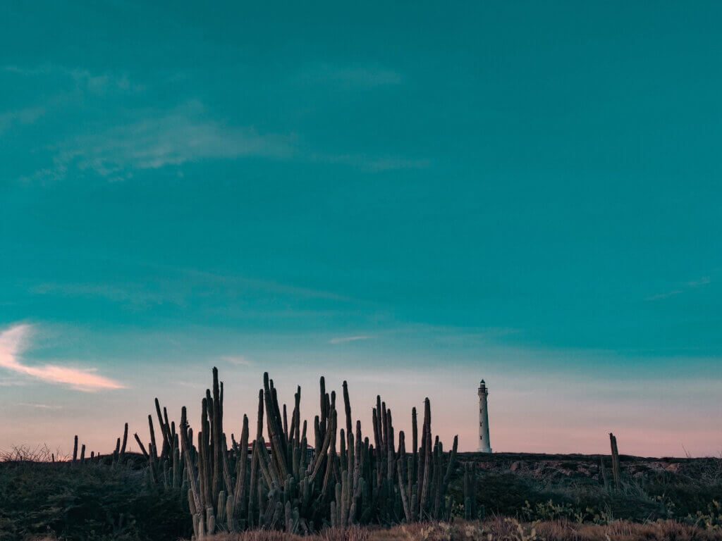 Vacation in Aruba
