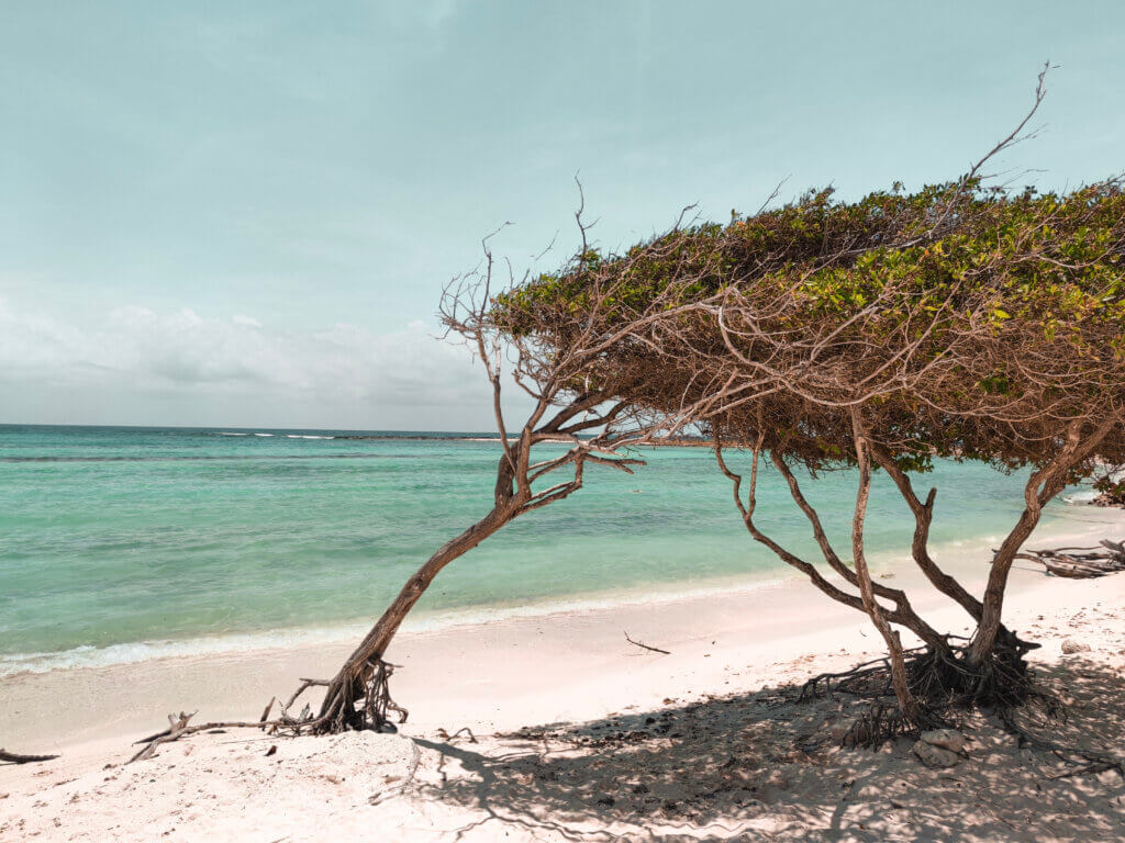 Holidays in Aruba - Baby Beach