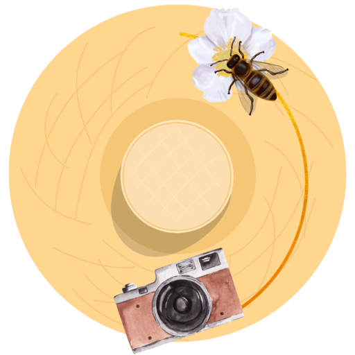 Petit Chapeau: Das Flitterwochen Reisemagazin logo