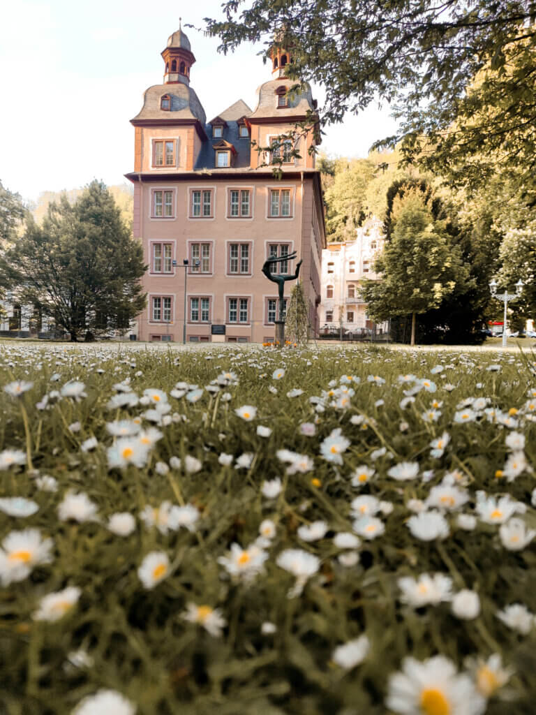 Emser Therme in Bad Ems: Wellness Wochenende in der Weltkulturerbe Stadt