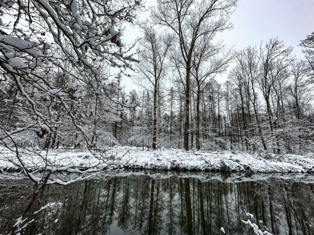 Winter Urlaub im Spreewald: Die schönsten Highlights & Sehenswürdigkeiten für die kuschelige Jahreszeit