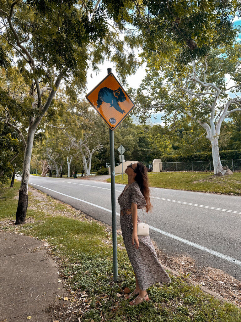 Magnetic Island Koala Schild