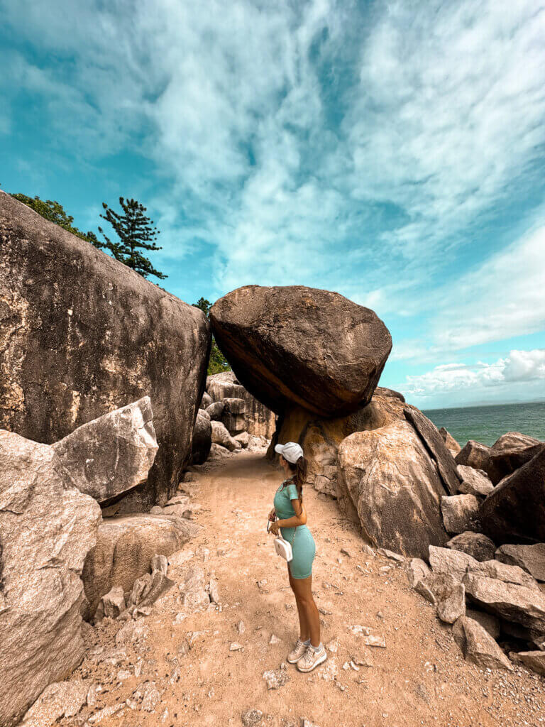 rock wallabies magnetic island