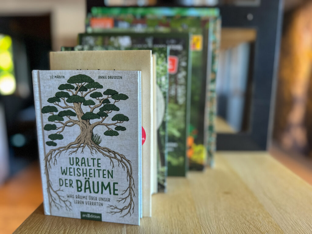 Übernachten in einem Baumhaus: Urlaub im Wanderhotel Gassner