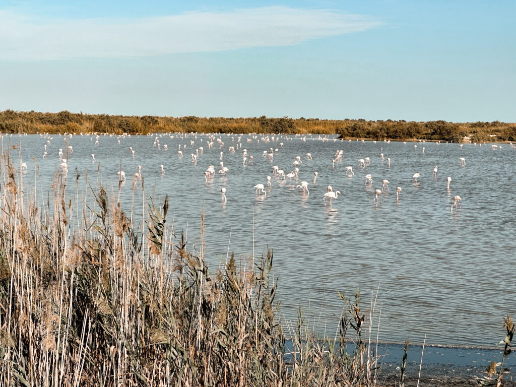 Geheimtipps in Alicante: Die Costa Blanca jenseits der Strände entdecken
