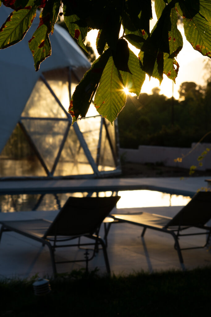 Masqi The Energy House