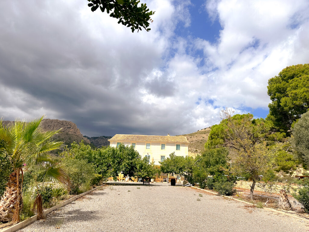 Señoríos del Relleu: Olivenöl